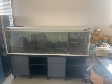 Acquario 2 metri  500+litri)con mobile e materiale