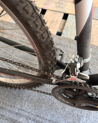 Bici 22