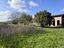 Immagine 10