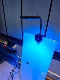 lampada acquario piccolo 