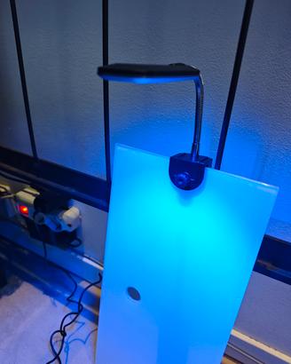 lampada acquario piccolo 