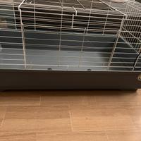 Gabbia Imac Easy 100