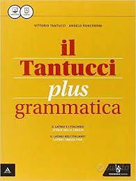 IL TANTUCCI PLUS GRAMMATICA VOL 1