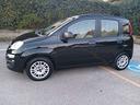 fiat-panda-1-2-easy-ok-neopatentati