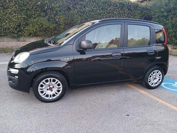 Fiat Panda 1.2 Easy Ok NEOPATENTATI