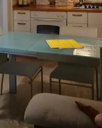 Tavolo Calligaris allungabile in vetro temperato 