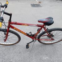 Bicicletta Mountain bike 