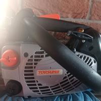 motosega da potatura 