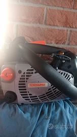 motosega da potatura 