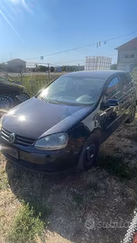 Golf 5 radiata per export