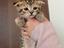 Immagine 1