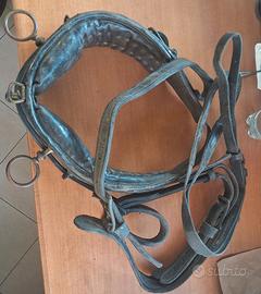 Finimenti in Cuoio per Cavalli