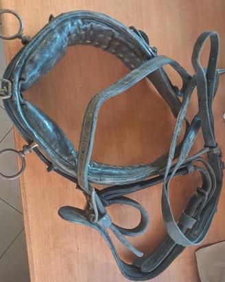 Finimenti in Cuoio per Cavalli