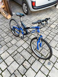 bicicletta Lucchino (NO SPEDIZIONE)