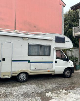 Camper Mclouise 432