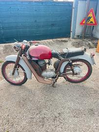 MV Augusta st sport 1954