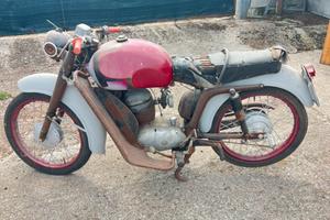 MV Augusta st sport 1954