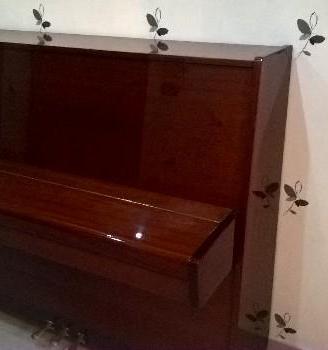 Pianoforte Belarus