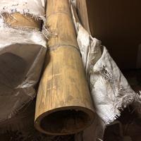 Canne bamboo