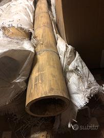 Canne bamboo