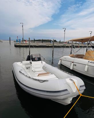 Selva D 540 con Mercury 40 EFI 2021