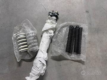 Forcelle  Andreani Misano  per Ohvale gp0