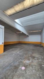 Capannone mq250 con bagni 2