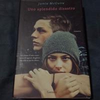 Uno splendido disastro. Romanzo.