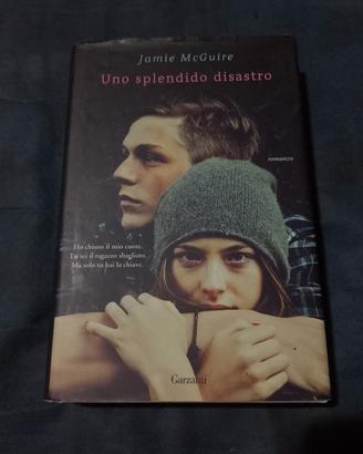 Uno splendido disastro. Romanzo.