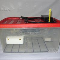 Incubatrice 25 uova semiautomatica