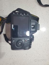 Nikon d 3100