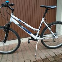 bicicletta mountain bike