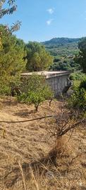 Casa indipendente con terreno agricolo