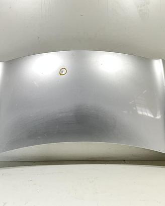 COFANO ANTERIORE TOYOTA Yaris Serie 533010D080 (08
