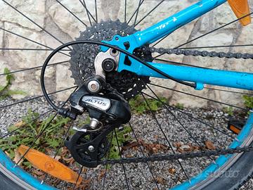 MTB Trek da ragazzo