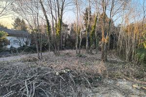 Terreno edificabile, Tricesimo
