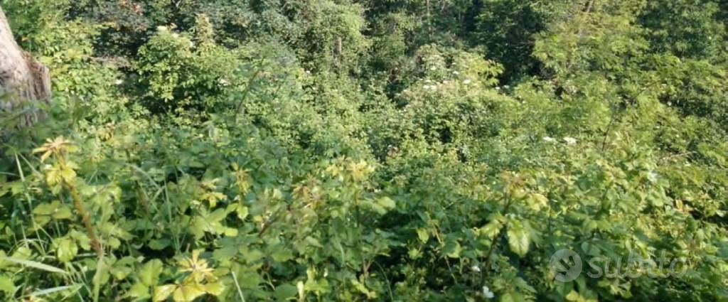 Immobile in asta di 91609 m² a Pianello Val Tidone - Vista 2