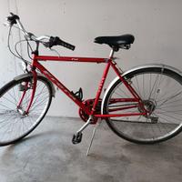 Bicicletta CityBike - Frera