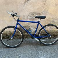 Mountain bike