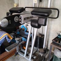 Technogym lux glute machine 