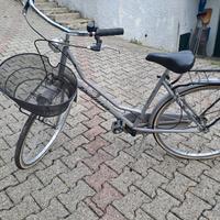 bicicletta Delma Liberty line