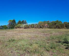 Terreno edificabile, Umbertide. - Rif. T/116