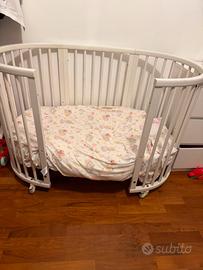 Stokke culla evolutiva