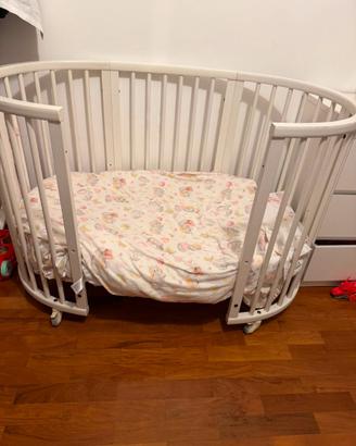Stokke culla evolutiva