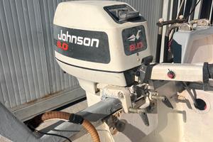 Johnson 8cv