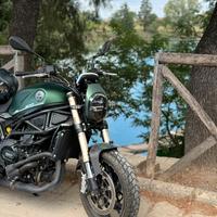 Benelli leoncino 800