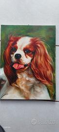 cavalier king. dipinto su tela