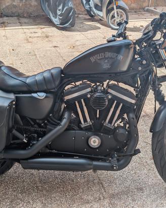 Harley Davidson Iron 883