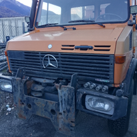 Unimog salatore