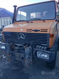 Unimog salatore